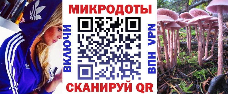Купить  Теберда  Галлюциногенные грибы Magic Shrooms 