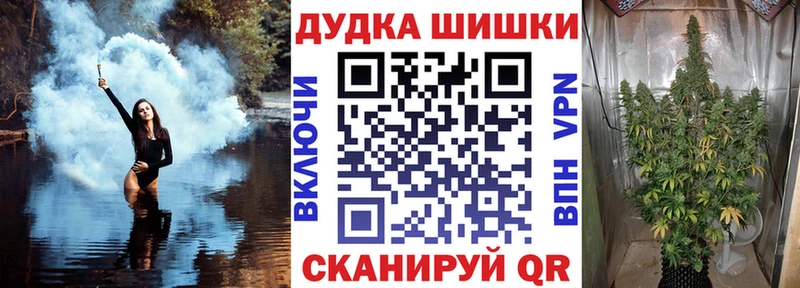 Конопля Amnesia  Купить где  Теберда 